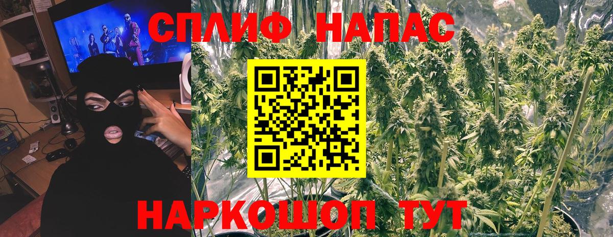 Марихуана гибрид Канаш